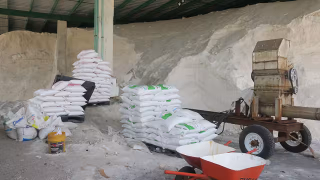 Comerciantes señalan que el producto no será suficiente para abastecer la demanda del mercado