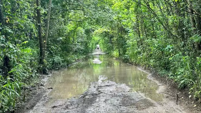 Protección Civil también reporta un ligero crecimiento del nivel de agua debajo de los puentes, sin repercusiones importantes en la cabecera municipal.
