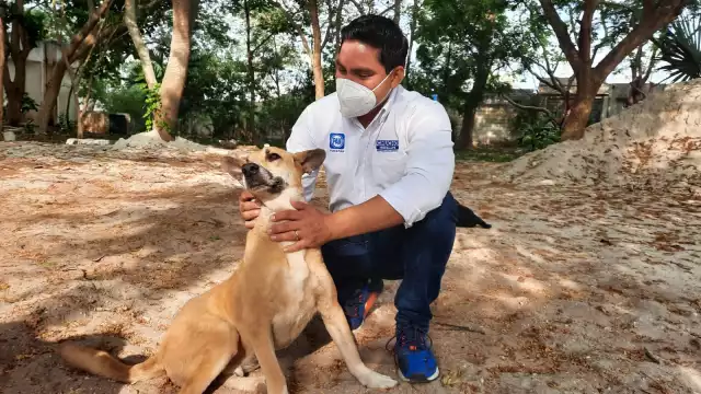 Chucho Pérez asegura castigos severos a los que maltraten a los animales