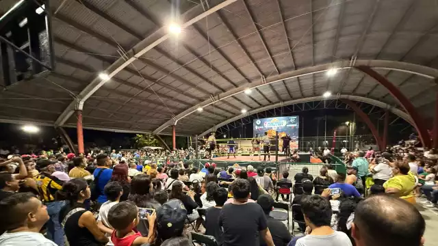 El Comisionado, conocido como "Taurus" podría dejar su cargo.