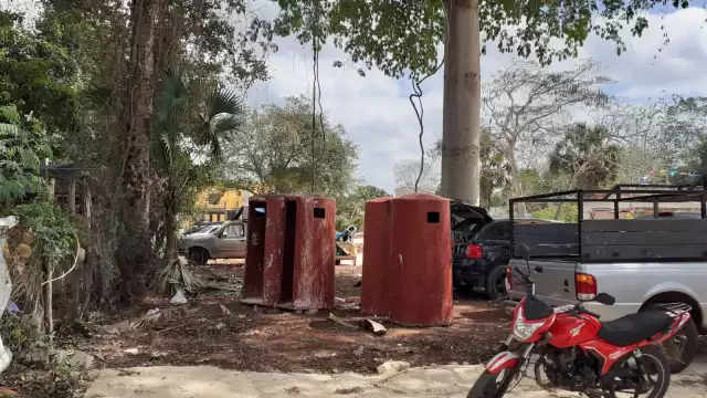 Un vecino de la colonia Dolores dijo que la víbora conocida como chaikan vive en el árbol de ceibo