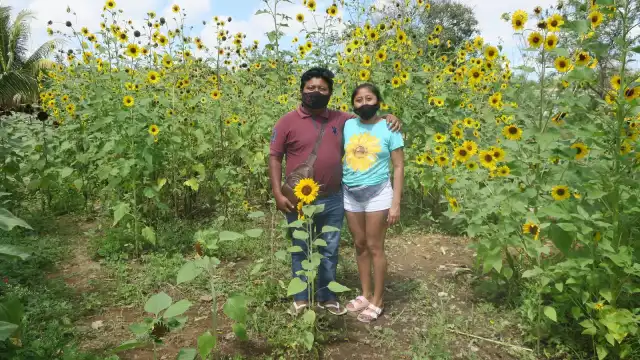 Anteriormente las flores eran traídas de otros Estados