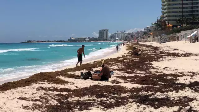 Playa Delfines es una de las playas con más sargazo