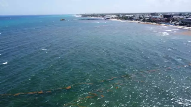 La Administración Portuaria de Quintana Roo extenderá su área por mar y tierra