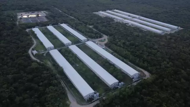 Elabora Semarnat un estudio para determinar qué plantas causan daño ambiental