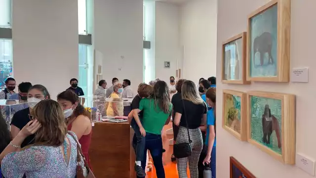 La excantante de Kabah ahora es diputada federal de Yucatán