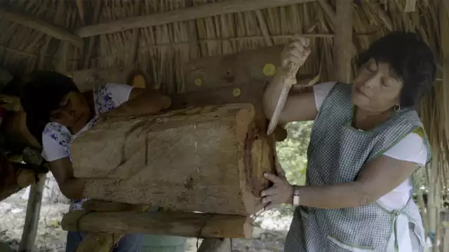 El documental muestra los daños provocados por los agroquímicos usados en la Península de Yucatán