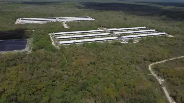 Un juez de Mérida atrasó el juicio para desestimar el amparo interpuesto por Kekén