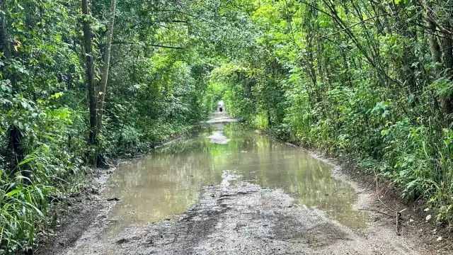 La mayor parte de estos pueblos sólo tiene brechas para salir a las carreteras. (