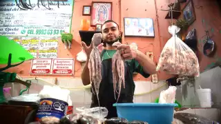 Inicia la captura de pulpo: la Canainpesca prevé obtener más de 24 mil ton del molusco este año