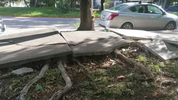 Los daños de la banqueta se han vuelto un problema para los peatones Los daños de la banqueta se han vuelto un problema para los peatones
