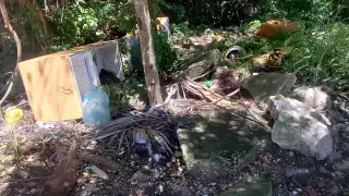 Se reportaron varios tiraderos de residuos clandestinos en la ciudad, especialmente en terrenos frente a Misión Las Flores e In House