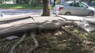 Los daños de la banqueta se han vuelto un problema para los peatones
