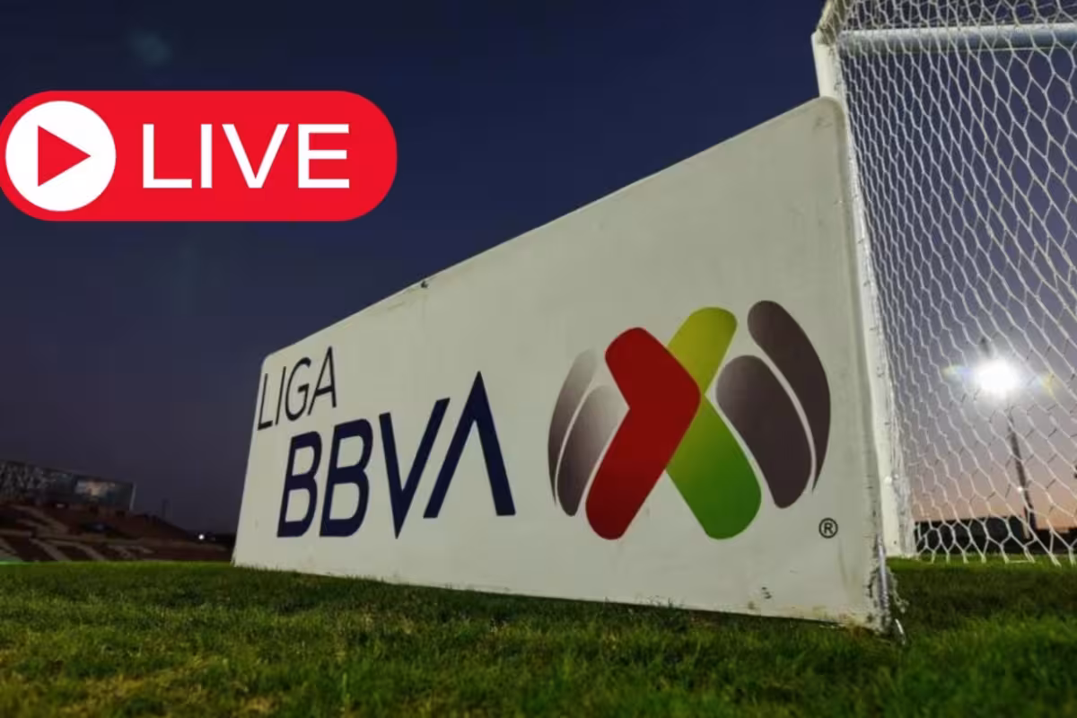 Liga MX: Fechas, horarios y dónde ver en vivo la última jornada del ...