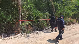 Macabro hallazgo en Tulum: Hallan un cuerpo sin vida en un área de maleza