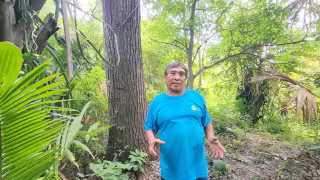 Pulmón natural en zona de La Joya no se vería afectado