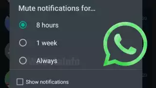 Trucos de WhatsApp: ¿Cómo saber si tus contactos te silenciaron?