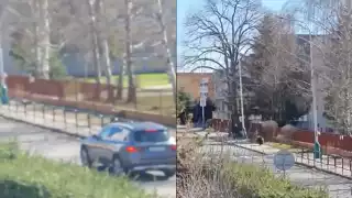 Oso ataca a un grupo de personas en Eslovenia