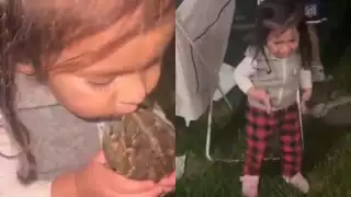 VIDEO de niña besando a un sapo se hace viral
