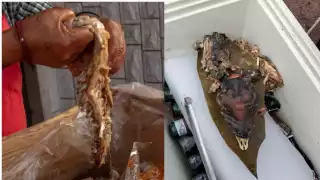 Así puedes identificar la barbacoa de perro