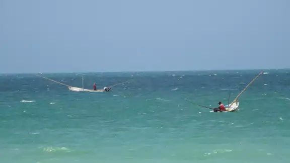 Oceana expuso la sobrepesca en México afecta a 4 de cada 10 especies de peces Oceana expuso la sobrepesca en México afecta a 4 de cada 10 especies de peces