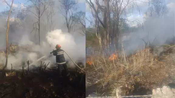 Este sábado 23 de marzo de 2024 se registró un incendio en Hunucmá, Yucatán Este sábado 23 de marzo de 2024 se registró un incendio en Hunucmá, Yucatán
