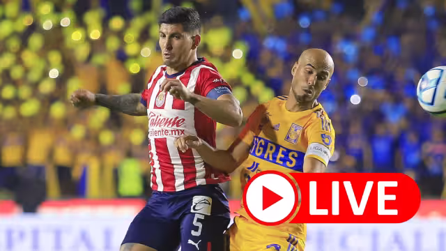Tigres vs Chivas: VER EN VIVO