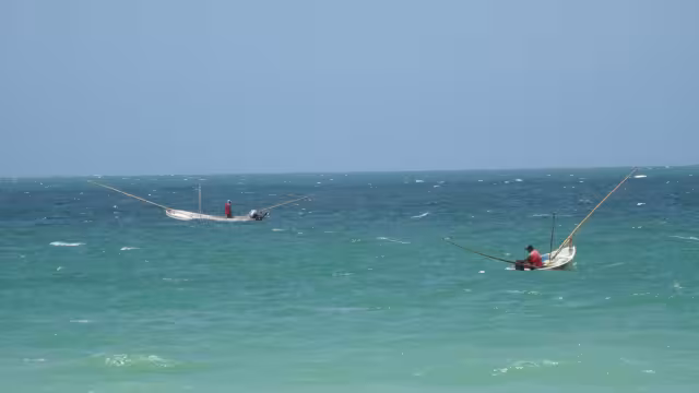 Oceana expuso la sobrepesca en México afecta a 4 de cada 10 especies de peces