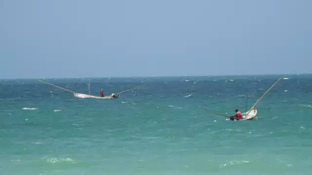 Oceana expuso la sobrepesca en México afecta a 4 de cada 10 especies de peces