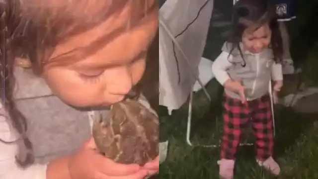 VIDEO de niña besando a un sapo se hace viral