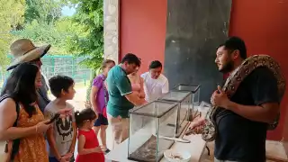 Biólogos concientizan sobre la interacción con serpientes en Yucatán