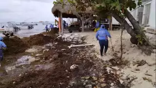 Trabajadores de Zofemat hallaron el tubo mientras limpiaban el sargazo de 'Playa El Recodo' en la Riviera Maya