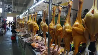 Las seis compañías reproductoras de aves son: Bachoco, Buenaventura, El Calvario, Pill Green, Grupo Patsa y Ropesa