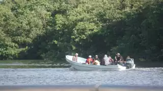 Los buceadores pescan toneladas de mariscos de forma ilegal