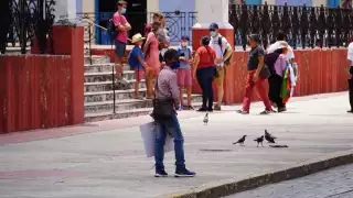 No sólo el desempleo ha sido impactado antes y durante la pandemia, también la accesibilidad escolar