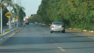 Previo al proyecto, se efectuó un estudio en la zona para determinar su estado actual