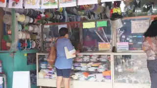 Esta propuesta beneficiaría a los comercios establecidos