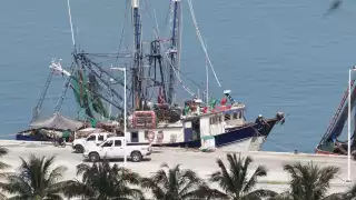 En 2020, los productos del mar llegaron a tener un costo de más de 4 mil millones de pesos, en beneficio de la Península de Yucatán