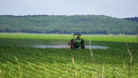 En Campeche hay 4.4 millones de hectáreas cubiertas por ecosistemas y manglares, por lo que se busca parar la deforestación En Campeche hay 4.4 millones de hectáreas cubiertas por ecosistemas y manglares, por lo que se busca parar la deforestación