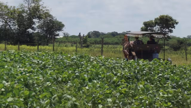 Los inconformes se niegan a firmar el acuerdo para vender tierras ejidales de la ampliación forestal a la Fundacion Ali