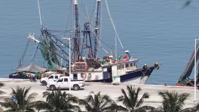 En 2020, los productos del mar llegaron a tener un costo de más de 4 mil millones de pesos, en beneficio de la Península de Yucatán