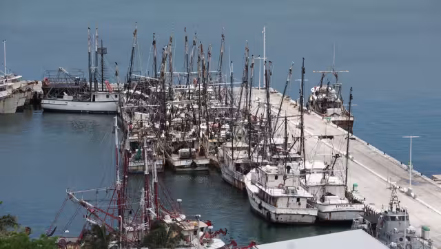 Pescadores de Campeche tendrían que invertir para viajar a Tamaulipas