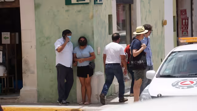 Los ciudadanos si van a ejercer su voto