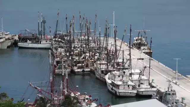 Piden ampliar 15 kilómetros cuadrados del área de pesca en Campeche