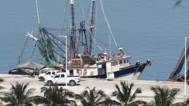 En 2020, los productos del mar llegaron a tener un costo de más de 4 mil millones de pesos, en beneficio de la Península de Yucatán