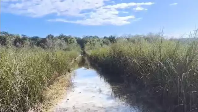 Reportan inundación del camino de la Presumida a Santo Tomas desde hace un mes
