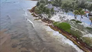 Los grupos de monitoreo de sargazo de Mahahual realizaron un sobrevuelo para detectar el recale de la macroalga en esta zona de Quintana Roo