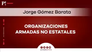 Organizaciones armadas no estatales