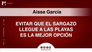 Evitar que el sargazo llegue a las playas es la mejor opción