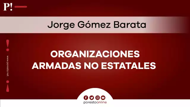 Organizaciones armadas no estatales